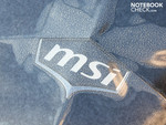 Hoogglans MSI-logo