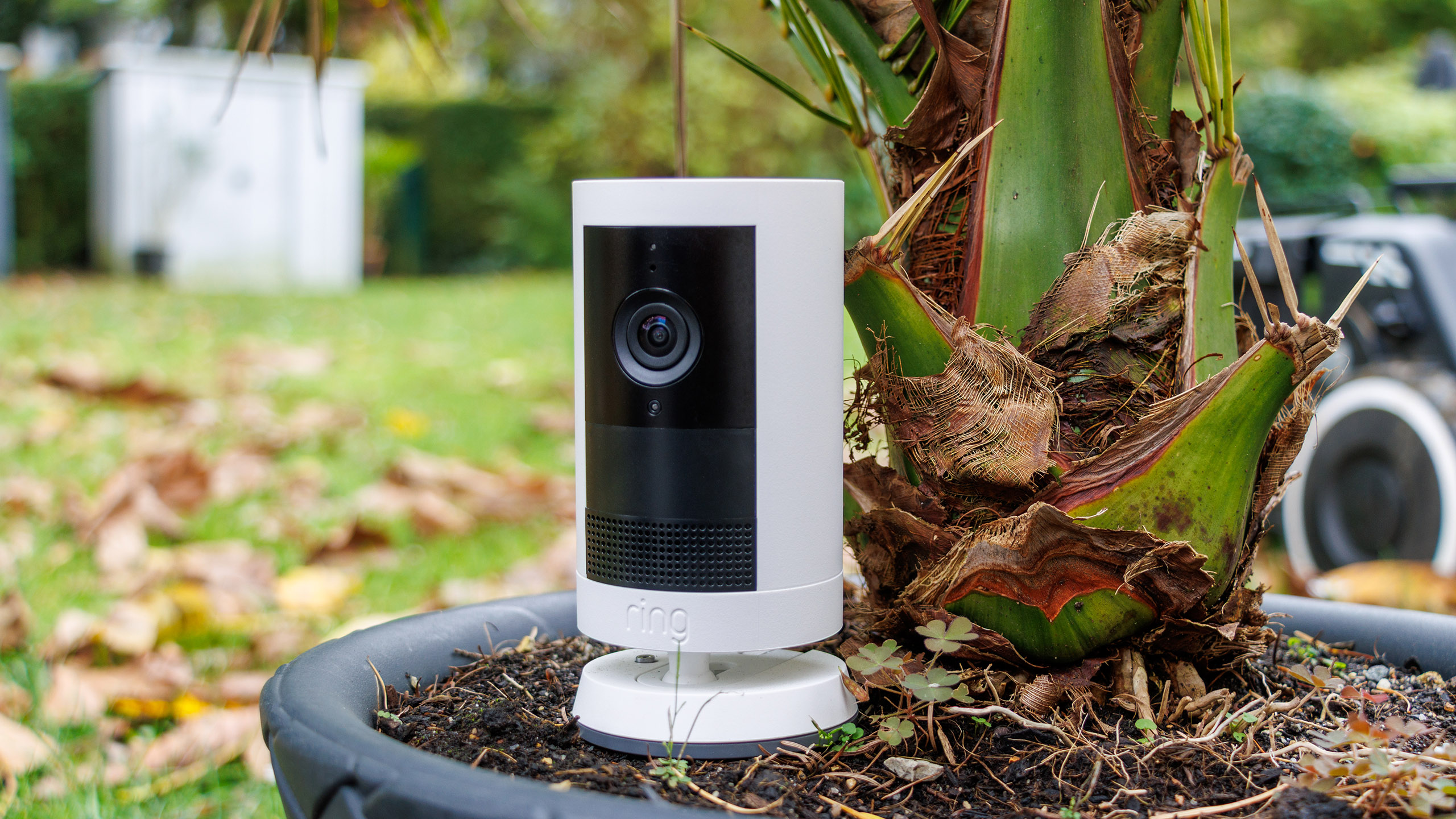 (Afbeeldingsbron: Daniel Schmidt)