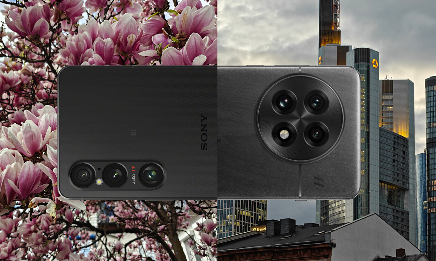 Sony Xperia 1 VI vs. OnePlus 13: The big camera comparison for travel photographers (Frankfurt, Würzburg, Middle Rhine)