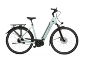 De Velo de Ville 2024 AEB 990 e-bike kan op vele manieren worden aangepast. (Afbeelding bron: Velo de Ville)