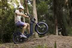 De Kingbull Jumper Go fat-tire e-bike heeft een krachtige 750 W Bafang borstelloze naafmotor (Afbeelding bron: Kingbull)