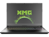 Schenker XMG Pro 15 (Clevo PC50DS) met RTX 3080 in Review: Ultra-dunne en lichtgewicht High-End alleskunner