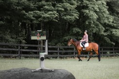 Insta360 beweert dat Deep Track 3.0 nu honden, katten en zelfs paarden kan volgen (Afbeelding bron: Insta360)