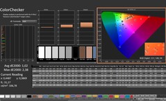 CalMAN: ColorChecker (gekalibreerd)