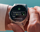 WhatsApp kan worden gedownload op meer dan een dozijn Garmin smartwatches.