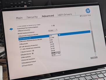 Opties tot 96 GB voor de GPU. HP waarschuwt dat "een te grote omvang van het videogeheugen" de algehele systeemprestaties kan beïnvloeden