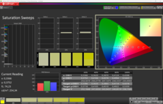 CalMAN verzadigingsvegen (P3)