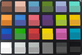 Foto van ColorChecker. De referentiekleur is weergegeven in de onderste helft van elk veld.