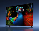 De niet-Supreme TV S Pro 2027 RGB Mini LED-serie zal maximaal 98 inch groot zijn. Afgebeeld: een promotiefoto van een tv uit deze serie.