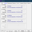 CPU-Z Caches (AMD)