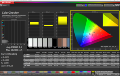 CalMAN KleurenChecker (P3)