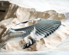Een auto-onderdeel geprint uit zand met behulp van binder jetting (Afbeelding Bron: ExOne)
