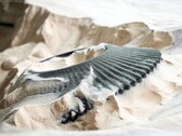Een auto-onderdeel geprint uit zand met behulp van binder jetting (Afbeelding Bron: ExOne)