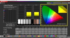 CalMAN ColorChecker gekalibreerd (doelkleurruimte: P3)