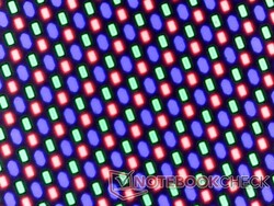 Haarscherpe OLED subpixel array van de glanzende overlay