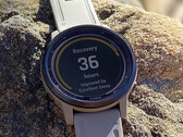 Garmin blijft 26.xx builds ontwikkelen voor de Fenix 6-serie en vergelijkbare modellen. (Afbeelding bron: Garmin)