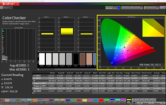 CalMAN KleurenChecker (P3)