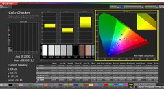 CalMAN ColorChecker (profiel: P3, doelkleurruimte: P3)
