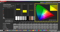CalMAN ColorChecker (profiel: sRGB, doelkleurruimte: sRGB)