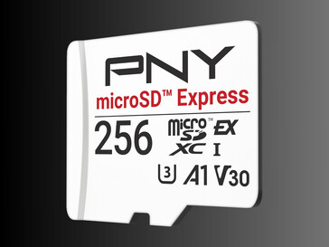 PNY microSD Express flashkaart 256 GB (Afbeelding bron: PNY PR)
