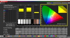 CalMAN ColorChecker (profiel: Native, doelkleurruimte: P3)