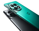 OnePlus verkoopt de Ace 2 Pro in twee kleuren. (Afbeeldingsbron: OnePlus)