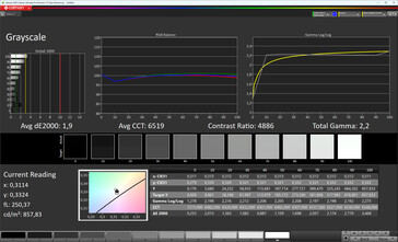 Grijsschalen (Ware tonen: uit, doelkleurruimte: sRGB)