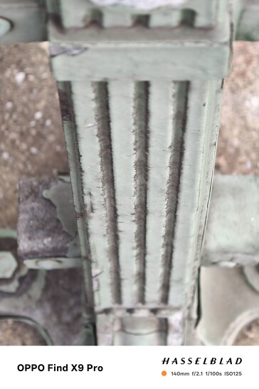 Oppo Find X9 Pro zonder lensvatting toont nauwkeurige kleuren.