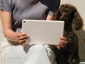 Google zou volgens de geruchten vier kleuropties voor de Pixel Tablet hebben gemaakt. (Beeldbron: Google)