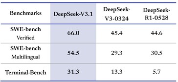 Programmeurs zullen DeepSeek-V3.1 waarderen om zijn sterkere codeercapaciteit. (Afbeeldingsbron: DeepSeek)