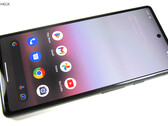 Sommige Google Pixel 6a gebruikers hebben enorme problemen na de nieuwste software-update (Afb. bron: Notebookcheck)