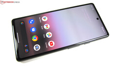 Sommige Google Pixel 6a gebruikers hebben enorme problemen na de nieuwste software-update (Afb. bron: Notebookcheck)