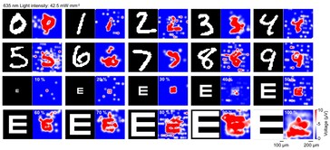 Benchtests van het tellurium netvliesimplantaat onder visuele laserpatroonverlichting tonen een redelijke, hoewel niet perfecte, beeldvormingsrespons. (Afbeeldingsbron: Science. DOI: 10.1126/science.adu2987)