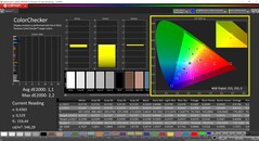 CalMAN ColorChecker (profiel: P3, doelkleurruimte P3)