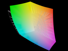 Het paneel dekt 95,5 procent van de AdobeRGB-kleurruimte
