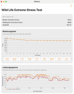 3DMark Wildlife stresstest