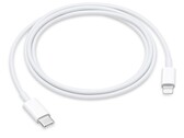 Is dit Lightning's laatste stand? (Bron: Apple)