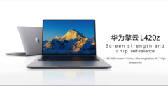 De Qingyun L420z in de kleur Space Grey