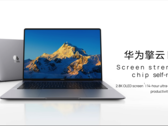 De Qingyun L420z in de kleur Space Grey