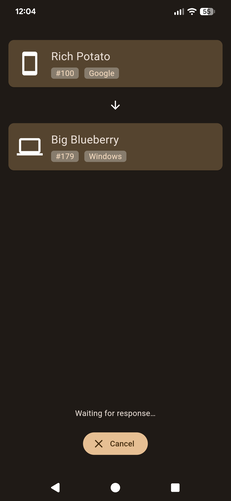 Bestanden die worden verzonden