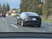 Mensen blijven de Model 3 Highland zien in de VS (afbeelding: Reddit)
