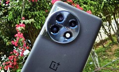 De OnePlus 11 blijft het enige vlaggenschip van het bedrijf tot de OnePlus 12, voorheen afgebeeld. (Beeldbron: NotebookCheck)