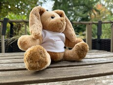 Apple iPhone 17 Pro: Voorbeeldfoto