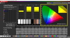 CalMAN ColorChecker gekalibreerd (doelkleurruimte P3)