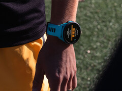 Garmin is teruggekeerd naar het Forerunner Beta Programma na een korte pauze om bugs op te lossen die systeemcrashes veroorzaakten in een recente build. (Afbeelding bron: Garmin)