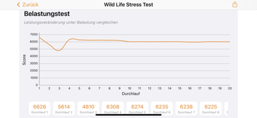 3DMark - Wild Life stresstest