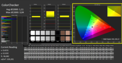 CalMAN: ColorChecker (gekalibreerd)