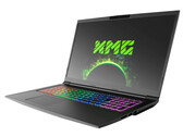 Kort testrapport Schenker XMG Core 17 (Core i7-9750H, GeForce GTX 1660 Ti, 144-Hz Display) Tongfang GK7CP6R Laptop