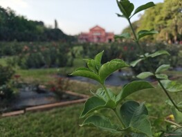 Portretfoto met groothoeklens