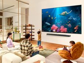 LG geeft een voorproefje van zijn 2024 QNED TV's. (Bron: LG)